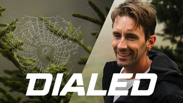 Dialed returns to Snowshoe
