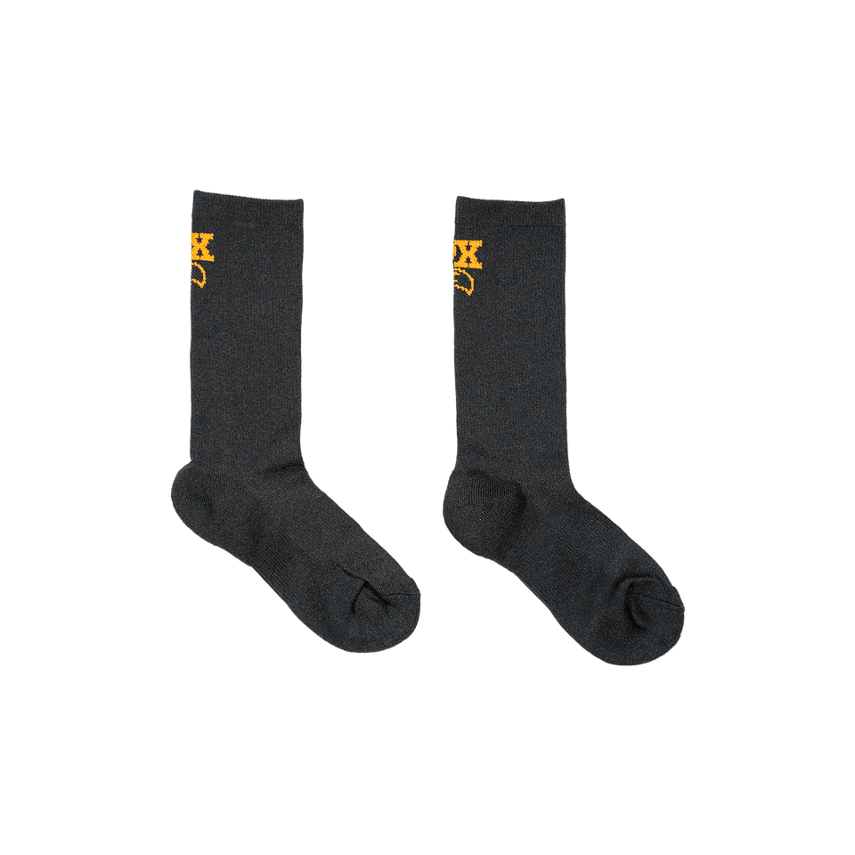 https://serenity-foxfactory.asset.akeneo.cloud/fox_asset_family/media/SSG_Apparel_Fox_Logo_Socks_Black_1.png